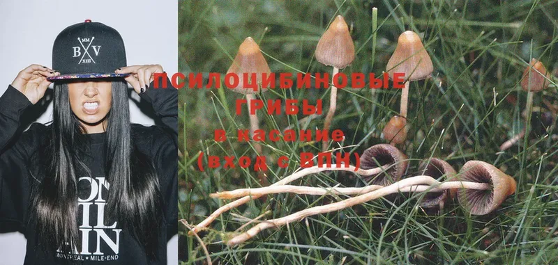 Галлюциногенные грибы MAGIC MUSHROOMS  Сорочинск 